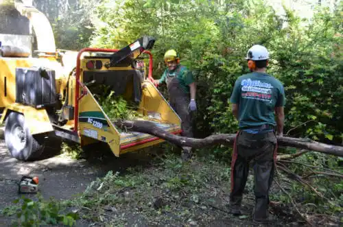 tree services Sparks